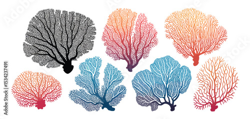 Collection of Colorful Sea Fan Corals Illustration