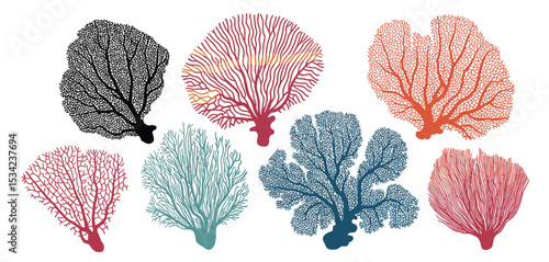 Collection of Colorful Sea Fan Coral Illustrations