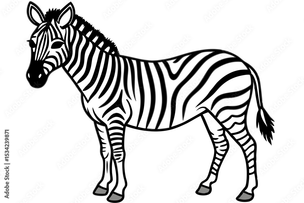 Obraz premium Zebra Motion Line Art