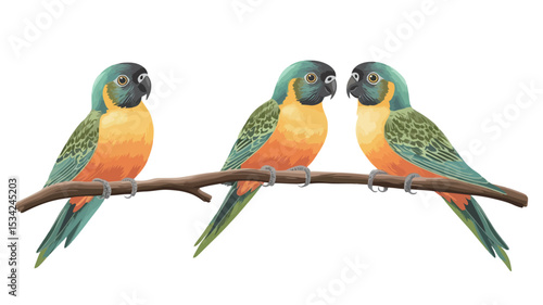 Digital illustration depicting three Orange-bellied Parrots perched on a slender brown branch against a plain white background.  The parrots are positioned in a slightly staggered row.