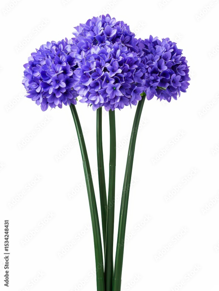 Obraz premium Beautiful Arrangement of Purple Flowers in a Bright Setting with Green Stems Perfect for Home Decor and Floral Decorations