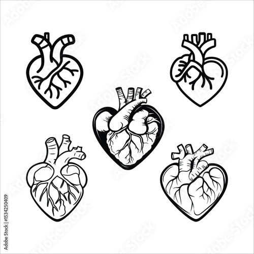 Anatomical heart vector illustration set black and white medical diagram heart artwork graphic design element