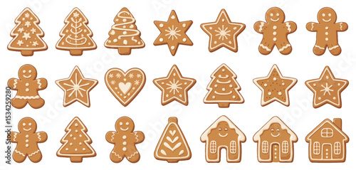 Assorted Christmas Gingerbread Cookies Collection