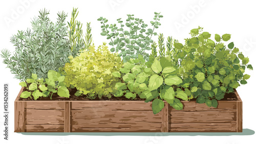 A digital illustration depicting a rectangular wooden planter box filled with various herbs and asparagus. The planter is light brown wood, divided into three sections.  The plants are depicted in