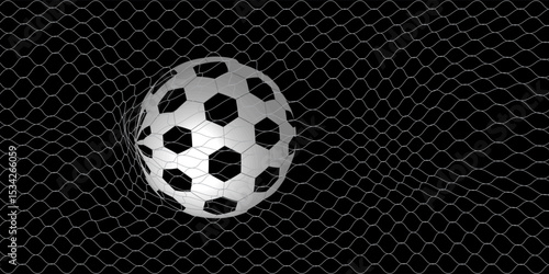 White-Black Soccer Ball in the Goal Net under White Background. 3D CG. High resolution.
