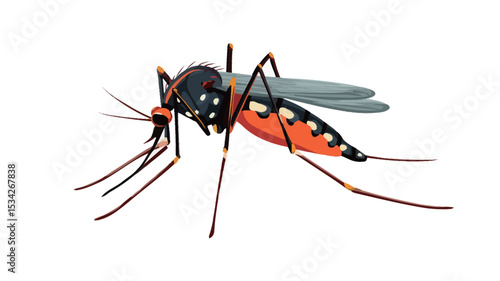 The image shows a mosquito with a distinctive black and white pattern on its body and legs. It has a vibrant orange abdomen with black markings along its length.

