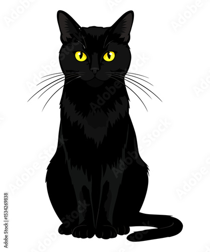 Elegant Black Cat with Piercing Yellow Eyes Seated Calmly Looking Forward with a Sleek and Mysterious Demeanor Perfect for Animal Lovers