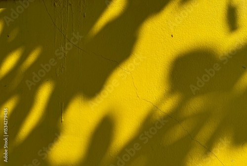 A yellow wall with the tree shadows.