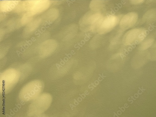 Beige wall with bokeh sunlight and a copy space.