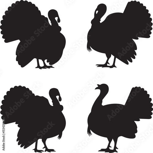 Turkey cock bird poultry animal silhouette. Good use for logo, symbol, mascot, web icon, sticker, sign, or any design you want. Easy to use.