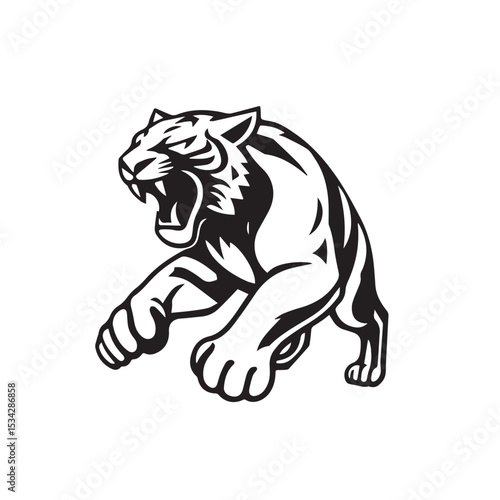 Vector art of a ferocious tiger lunges forward, isolated on white background, a vector illustration of raw power