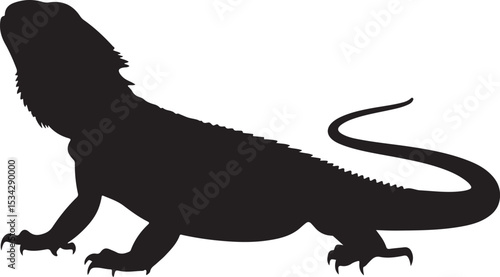 iguana on a white background