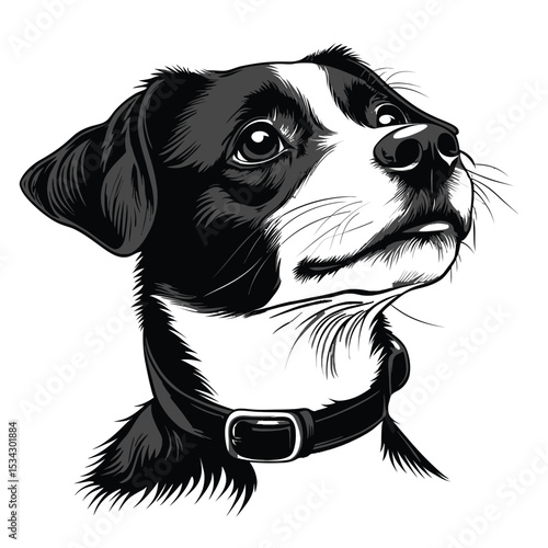 Cute black and white Border Collie puppy sitting with a purebred pedigree on a white background