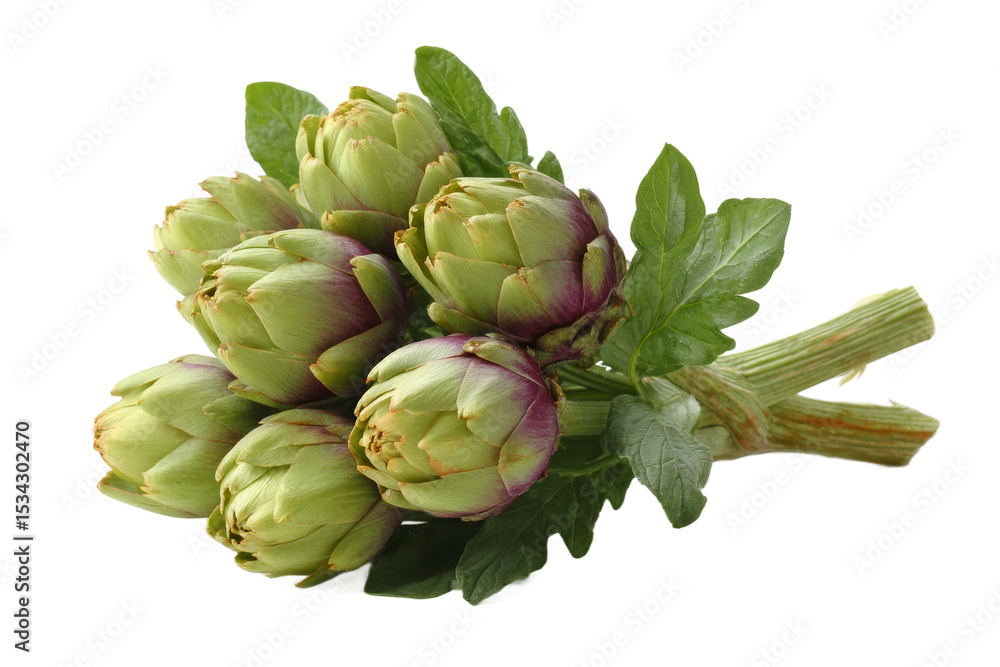 Obraz premium [Transparent Background PNG]Fresh Artichoke Bouquet Close-up