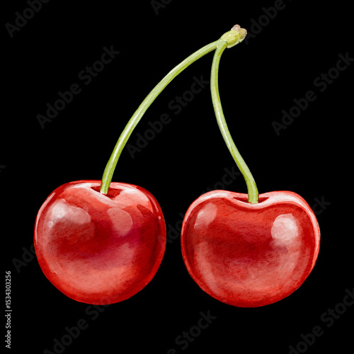cherry illustration