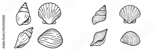 Vector flat illustration showcasing various types of seashells in a minimalistic style on a white background
