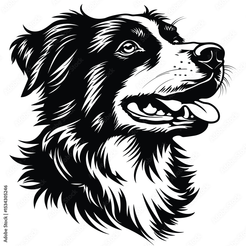Obraz premium Black and white border collie dog head vector illustration
