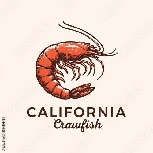 orange color shrimp vector logo illustration