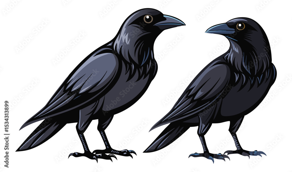 Obraz premium Photo of two sleek black crows, isolated on white background, face each other in a captivating illustration