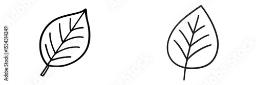 Vector flat illustration of two stylized leaves illustrating nature's simplicity and beauty in a minimalist design