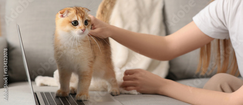 Young woman with cute kitte...