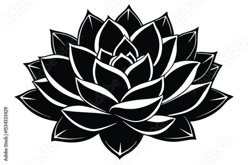 Stylized Succulent Illustration Black and White Graphic Depiction of an Echeveria Flower