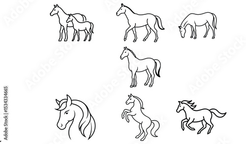 horse line art coloring book vector  illustration.eps