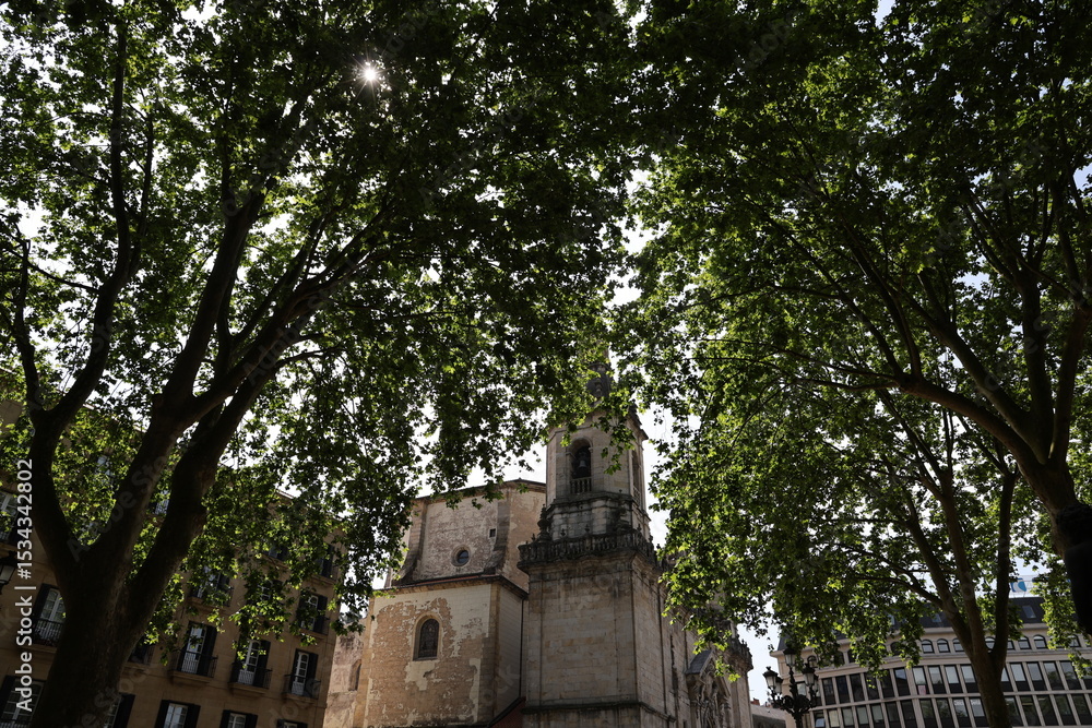 Obraz premium Bilbao la città spagnola