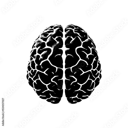 Realistic human brain silhouette in black vector style with detailed folds