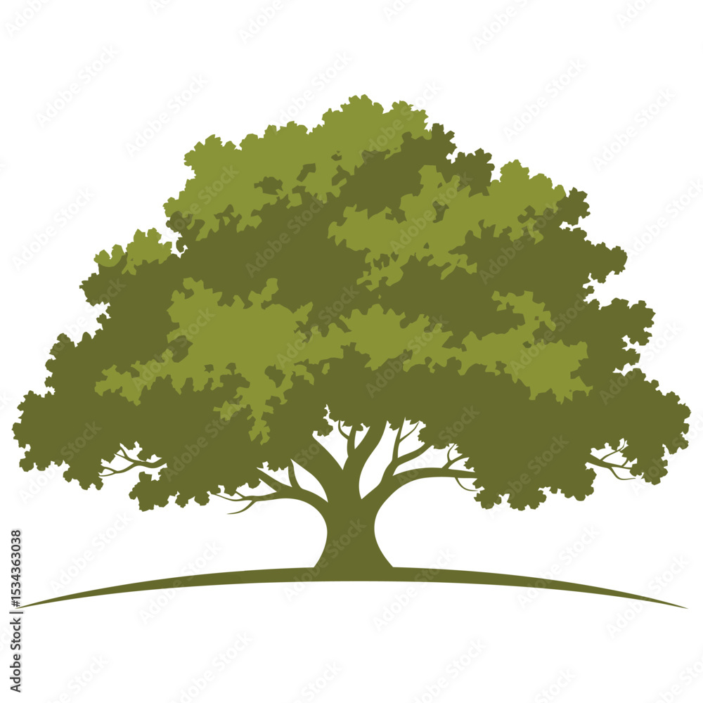 Obraz premium Detailed Oak Tree on White Background.