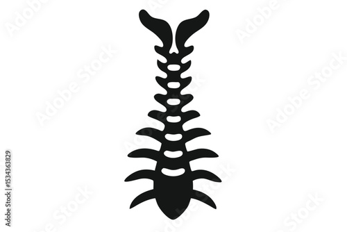 Black and White Illustration of Spine with Ribs and Vertebrae Silhouette