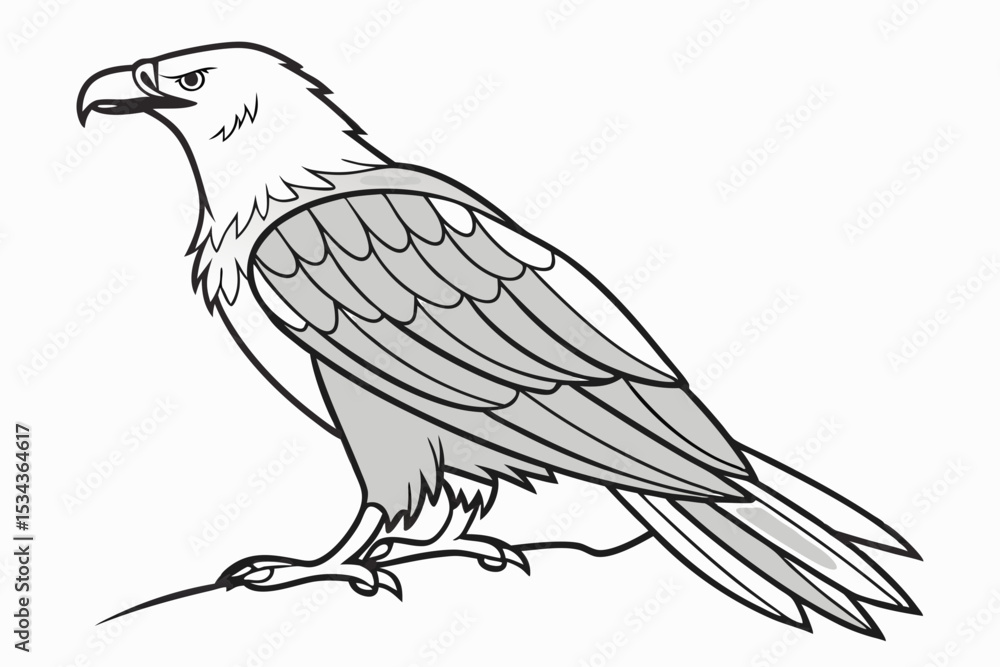 Obraz premium Eagle Standing on Rock – Black and White Bird of Prey Illustration