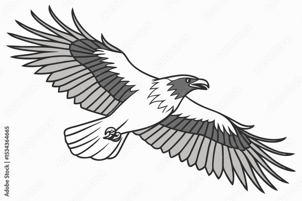 Black and White Raptor Illustration

