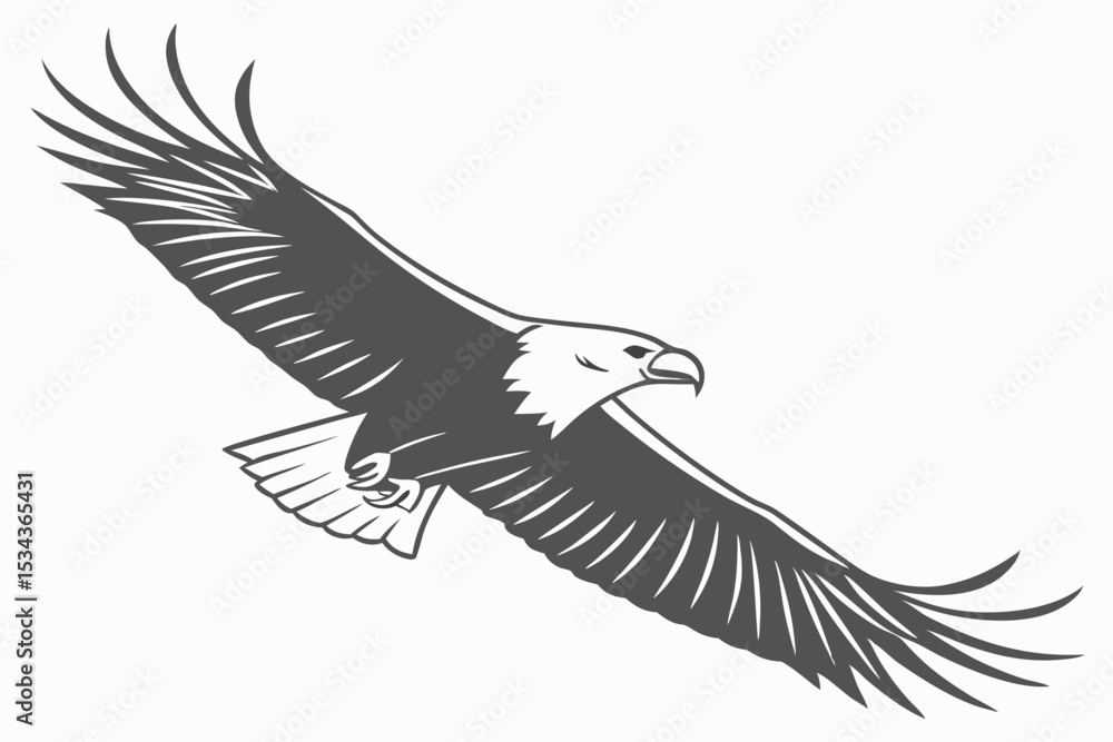 Fototapeta premium Majestic Soaring Eagle Clipart:Black and White Bird Illustration