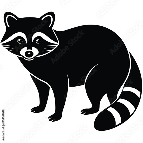 raccon vector