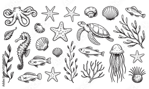  illustration of marine animals and sea life elements in black and white
