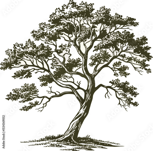 Wallpaper Mural tree-vector.eps Torontodigital.ca