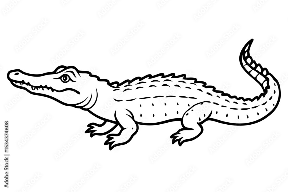 Fototapeta premium Crocodile Vector line art
