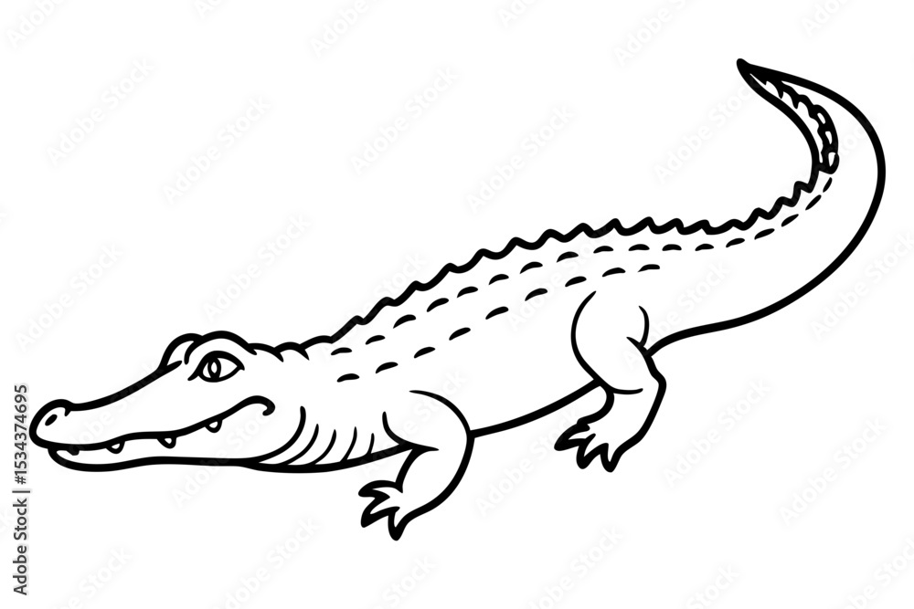 Fototapeta premium Crocodile Vector line art