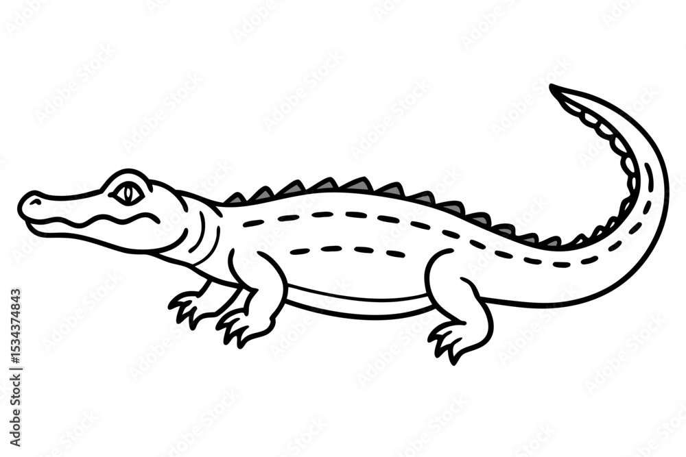 Fototapeta premium Crocodile Vector line art