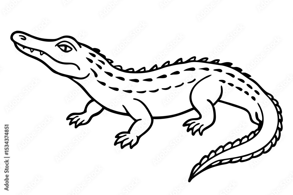 Fototapeta premium Crocodile Vector line art