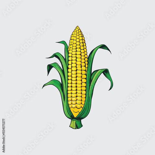 Fresh yellow corn on the cob with green husks