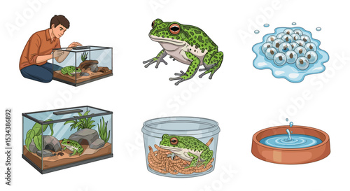 Depiction of a man caring for a frog in a terrarium alongside frog eggs and frog in a jar illustration