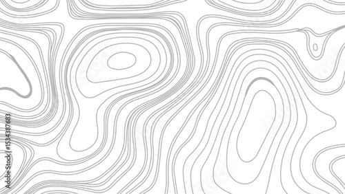 Topographic contour map. similarcartography illustration. Business concept. Fish Fillet Texture, Salmon fillet texture, fish pattern. paper texture
