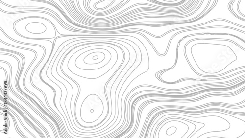 Topographic contour map. similarcartography illustration. Business concept. Fish Fillet Texture, Salmon fillet texture, fish pattern. paper texture
