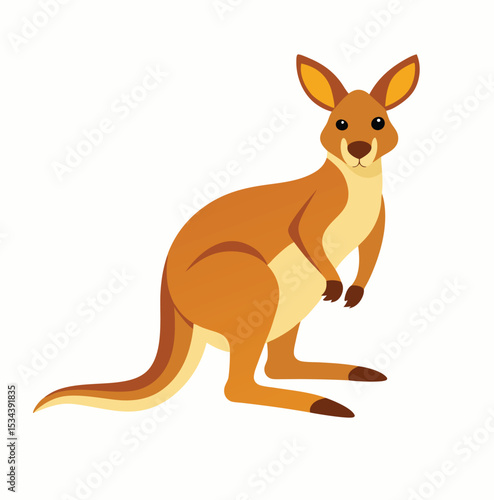 kangaroo cartoon illustration