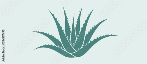 Stylized aloe vera plant illustration