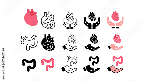 Organ donation linear icon set. Living, deceased body parts offer. Tissues transplantation. vector illustration on white background
