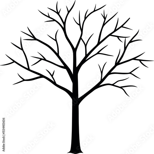 Black Minimalist Vector Elm Tree Bare Branches Winter