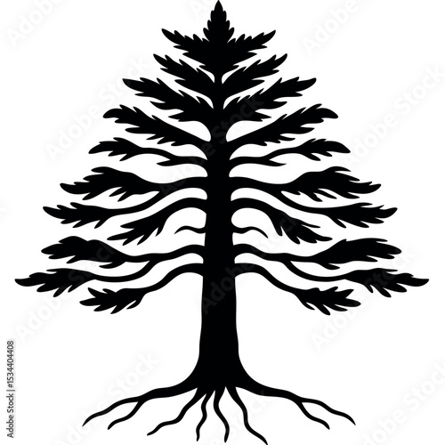 Black Silhouette Cedar Tree with Exposed Roots White Background